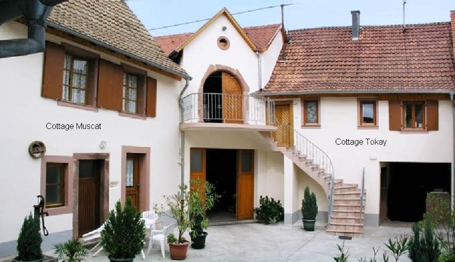 Gites Le Tokay Et Le Muscat Gertwiller Pokój zdjęcie